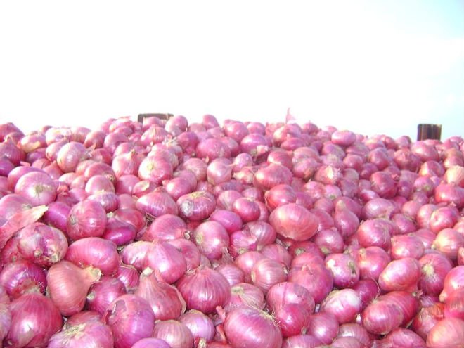 Red Onion