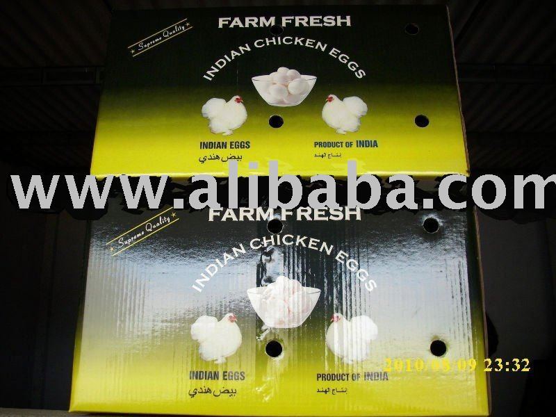 Table Fresh Eggs