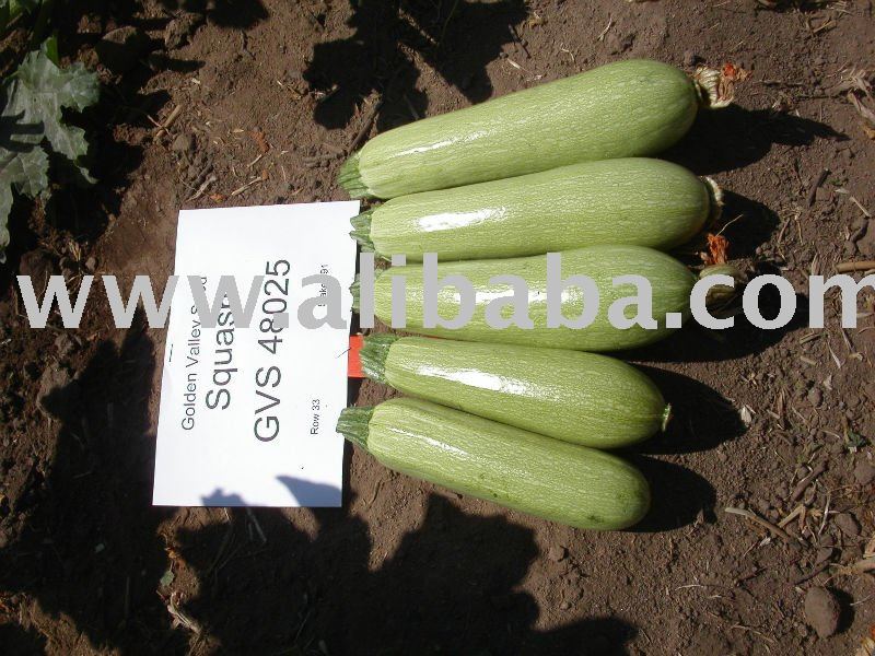Squash