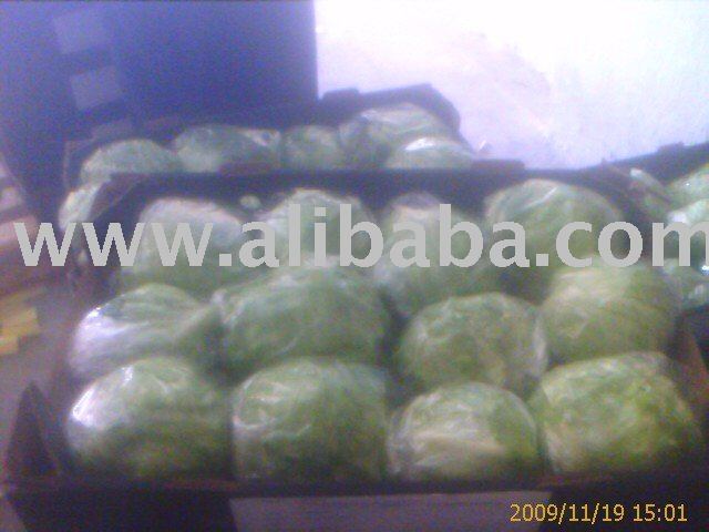 Lettuce iceberg