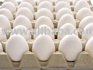Farm Fresh Table Eggs