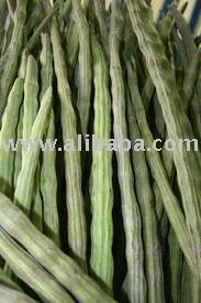Moringa Drumstick