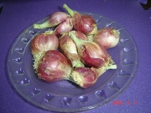 fresh shallot