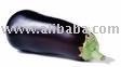 Eggplant-Aubergines