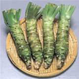 wasabi for sashimi