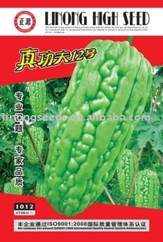 Real kongfu NO12 bitter melon seeds(1012)