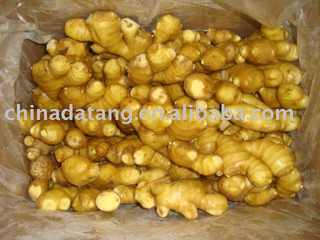 high quality Chinese fresh ginger