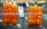Frozen Cooked Salted Duck Egg Yolks