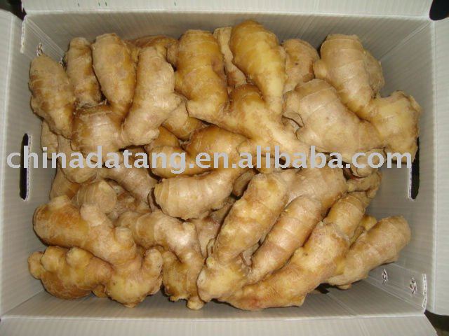 hot sale air dry ginger