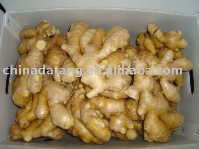 hot sale high quality air dry ginger
