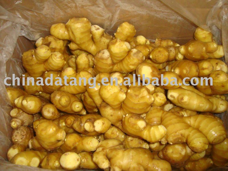 Chinese fresh ginger