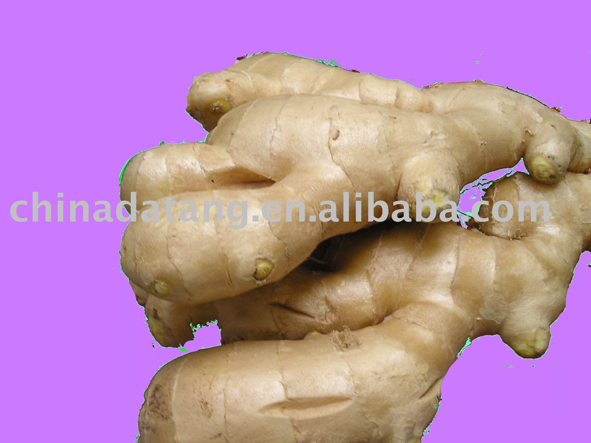 fresh ginger with good tastes,delicious  smell 