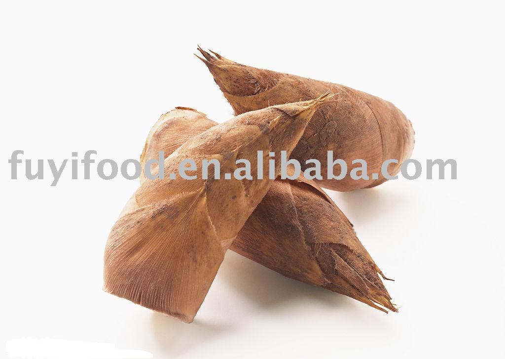 FRESH BAMBOO SHOOT
