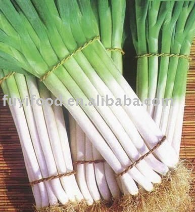 Fresh Leeks,china Fuyi Price Supplier - 21food