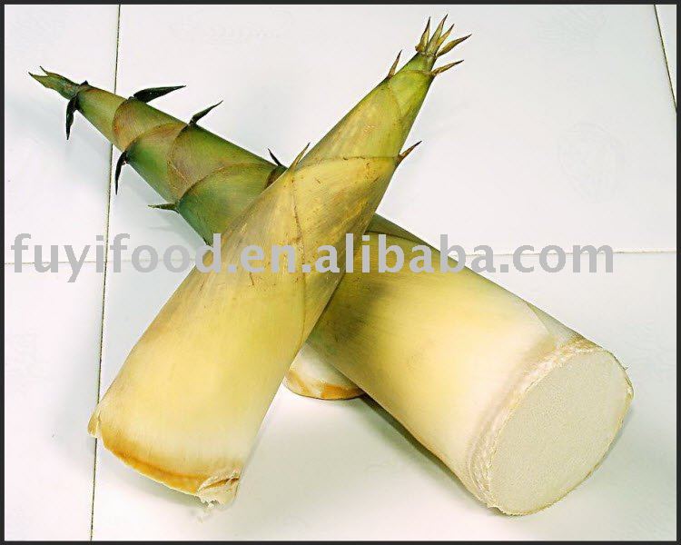 FRESH/FROZEN SPRING BAMBOO SHOOT