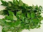 kerala fresh curry leaves