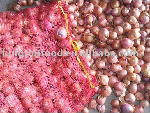 Fresh Shallot