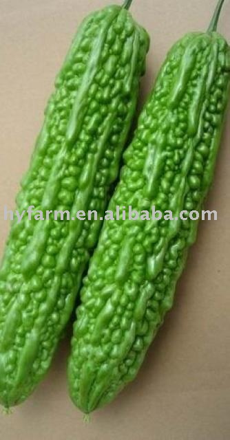 Fresh Balsam Pear, balsam pear