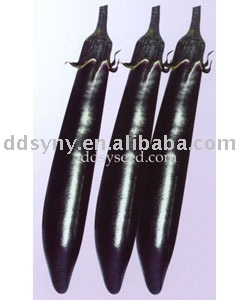 lettuce seed,green lettuce seed ,vegetable seed