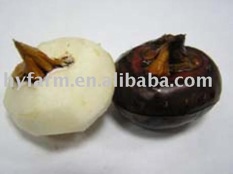 Fresh water chestnut, water chestnut,