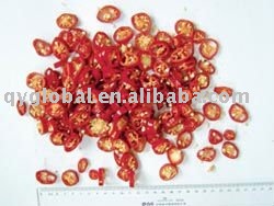 Fresh  chilli (jinta)