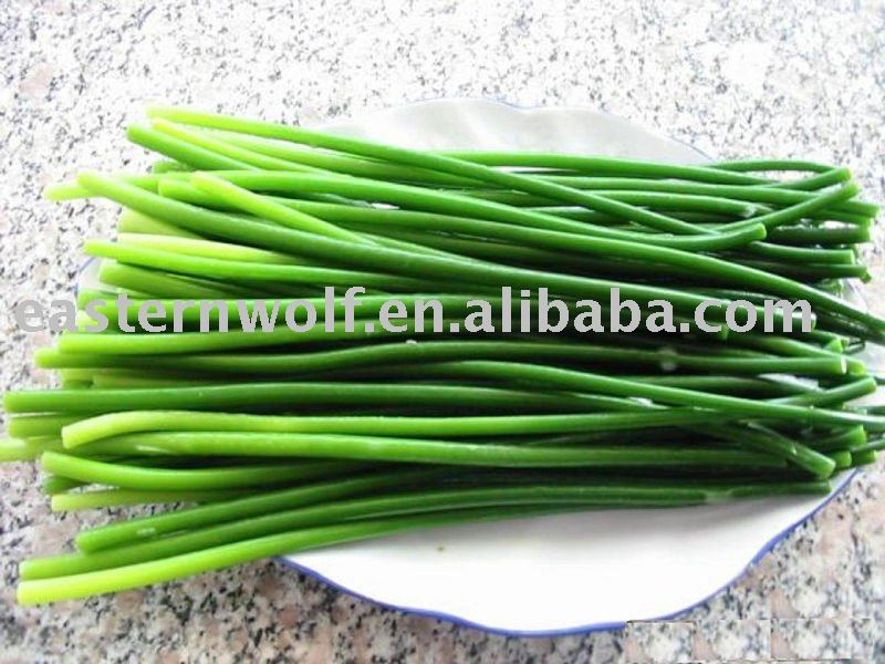 Fresh Garlic Stem of 2010 New Crop