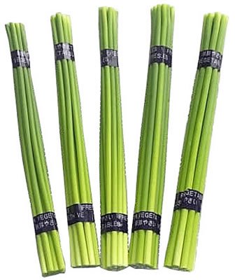 2010 garlic stem