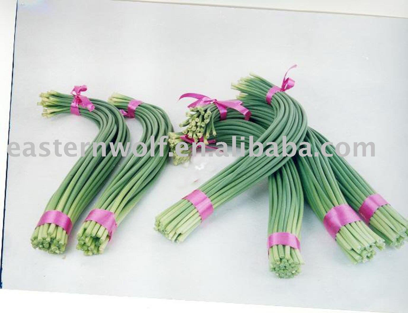 Chinese Fresh Garlic Stem of 2010 New Crop in Carton