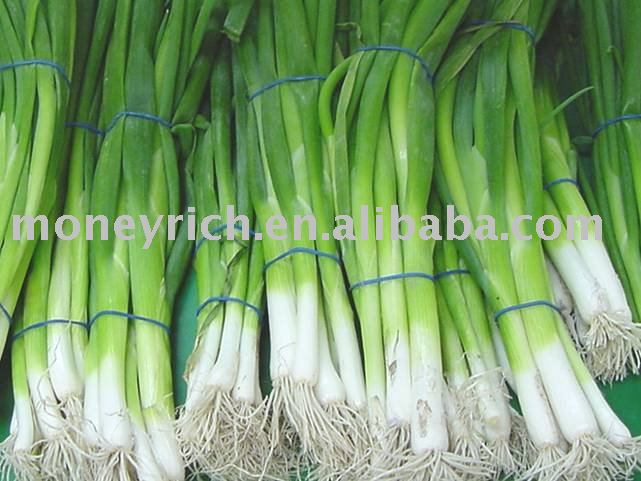 Green onions