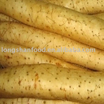 fresh yam