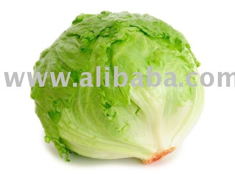Iceberg lettuce