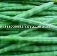 Green Drumsticks