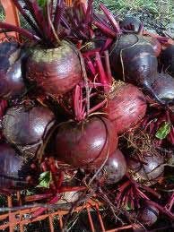  fresh   beetroot s