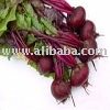  FRESH   BEETROOT 
