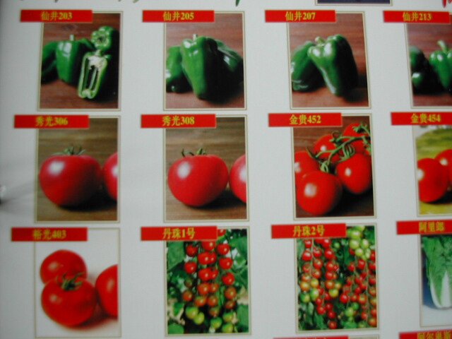 Fresh Preserved Vegetables