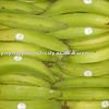 Green Plantains