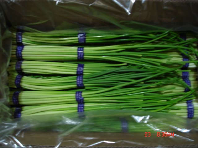 garlic sprouts
