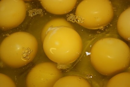 egg yolk,