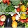  Garden  Fresh  Vegetable s