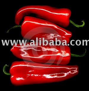 BLACK, GREEN. RED, WHITE AND YELLOW  PEPPERS ON SALE
