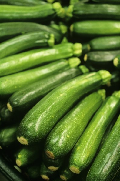 Cameron Highlands Zuccini