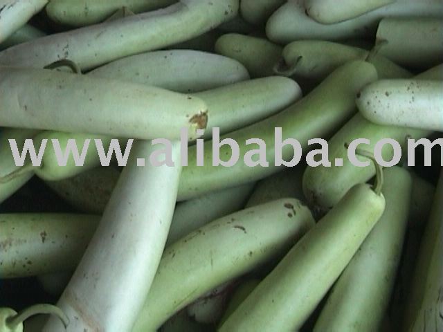 BOTTLE GUARD  VEGETABLE 