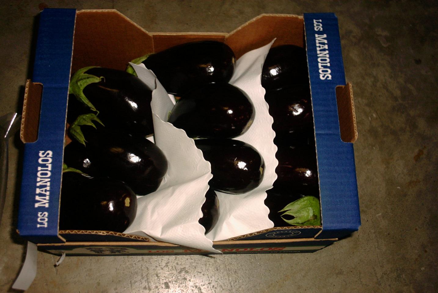 Aubergines / Eggplants (conventional and organic)