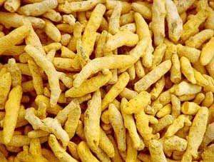 Quality Tumeric fingers for exports