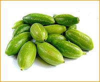 Ivy gourd
