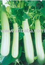  Bottle   gourd  Pratik