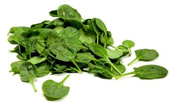 fresh vegetables:SPINACH