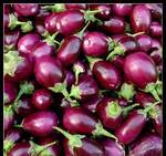 Egyptian EGGPLANT