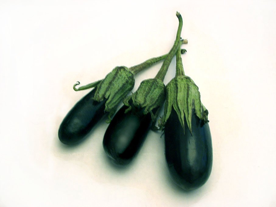 Egyptian Black Aubergine
