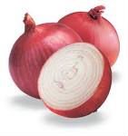 red onion high quality